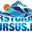 Logo Borstcrawlcursus.nl