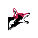 Logo Bald Jackal Agency