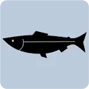 Logo Bawykov® Zalm