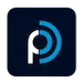 Logo Perfect Drive
