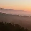 Logo On a hazy morning