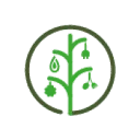 Logo H2020 VIDA