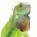 Logo Reptiles Twente