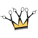 Logo Kapsalon Prinsheerlijk