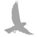 Logo Emcuview Solutions