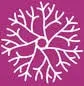 Logo Nederlandse Vereniging voor Neurologie