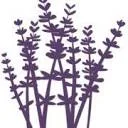 Logo Schoonheidssalon Lavendel