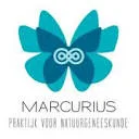 Logo Marcurius