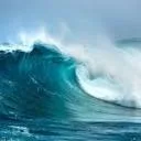 Logo Swell2