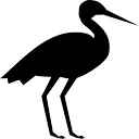 Logo BlackStork.io