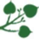 Logo Soontiëns Ecology