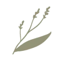 Logo Digitale Fondsmanager