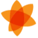 Logo VDS Arbeidsdeskundigen