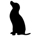 Logo van Schot AND Mane