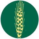 Logo Boerhaarshoeve