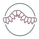 Logo Caterpillar Coaching AND Mediation