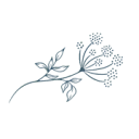 Logo Verloskundigen Assendelft
