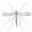 Logo Diptera.info