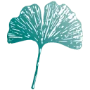 Logo De Hortus Stichting voor natuur- en duurzaamheidseducatie