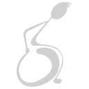 Logo TNS revalidatie service