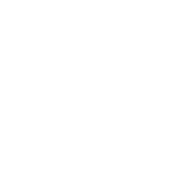 Logo Bizz Assistant