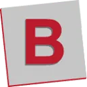 Logo van Bruins