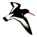 Logo OOLDER ADVIES