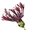 Logo van Vaste Planten Kwekerij Heutinck
