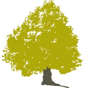 Logo Fysiopraktijk Veluwse Poort