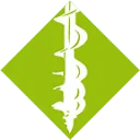 Logo DSS-Drilling