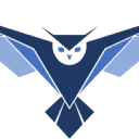 Logo Brandwings