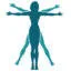 Logo FysiotherapieNL vestiging Driebergen
