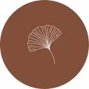Logo Lichtpuntjes