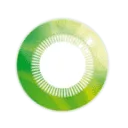 Logo Professional Focus