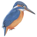 Logo EcologieWerkt