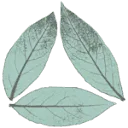 Logo 🌿Laurierkwekerij Gova