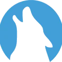 Logo E-Wolve