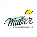 Logo Muller Bloemzaden BV