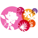 Logo Bouquetnet B.V.