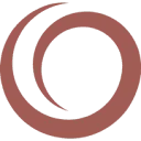 Logo REASONS