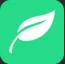 Logo Budgetplant