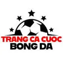 Logo Drukkerij Algrafo BV