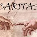 Logo Caritasgroep