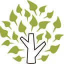 Logo van Numeri Administratie