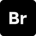 Logo Brandbrains