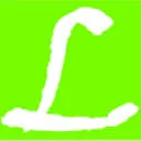 Logo Lider Group