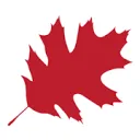 Logo Boom De Kwekerij