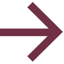 Logo Boon Strategy