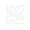 Logo vinifera holding bv