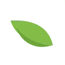 Logo IAM